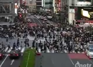 ЖЕСТЬ: пешеходный переход в Японии (VIDEO)