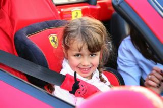 Слет Ferrari в Германии собрал почти 100 фанатов марки! (15 ФОТО)