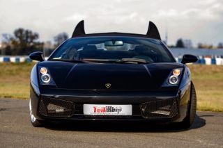 Lamborghini Gallardo: стервозная чертовка!