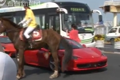 Парнокопытное против парноколесного: в Китае лошадь ударила копытом новую Ferrari