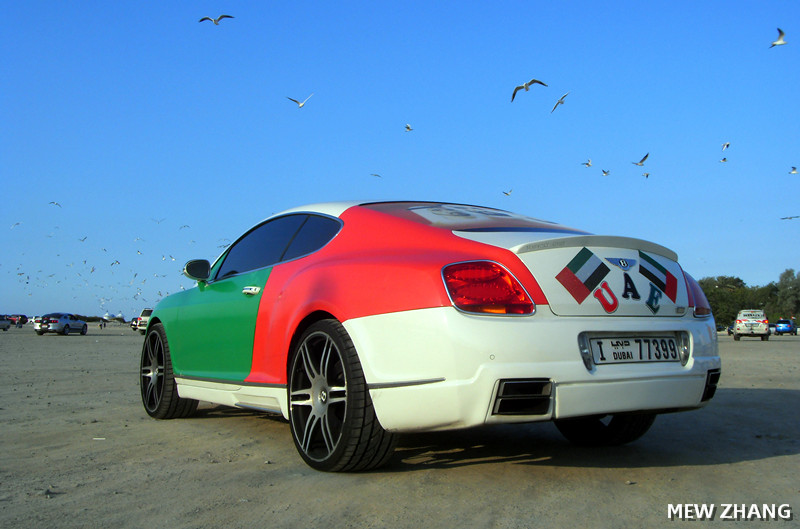 В честь годовщины Эмиратов арабы украсили свои суперкары  +ВИДЕО