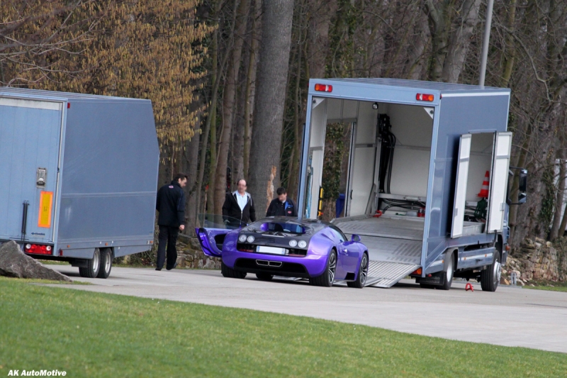 Bugatti в лесу: на опушке сфотографировали фиолетовый Veyron
