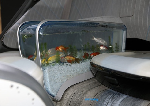 Фен-шуй автомобиля: китайцы сделали беспилотный авто с аквариумом внутри