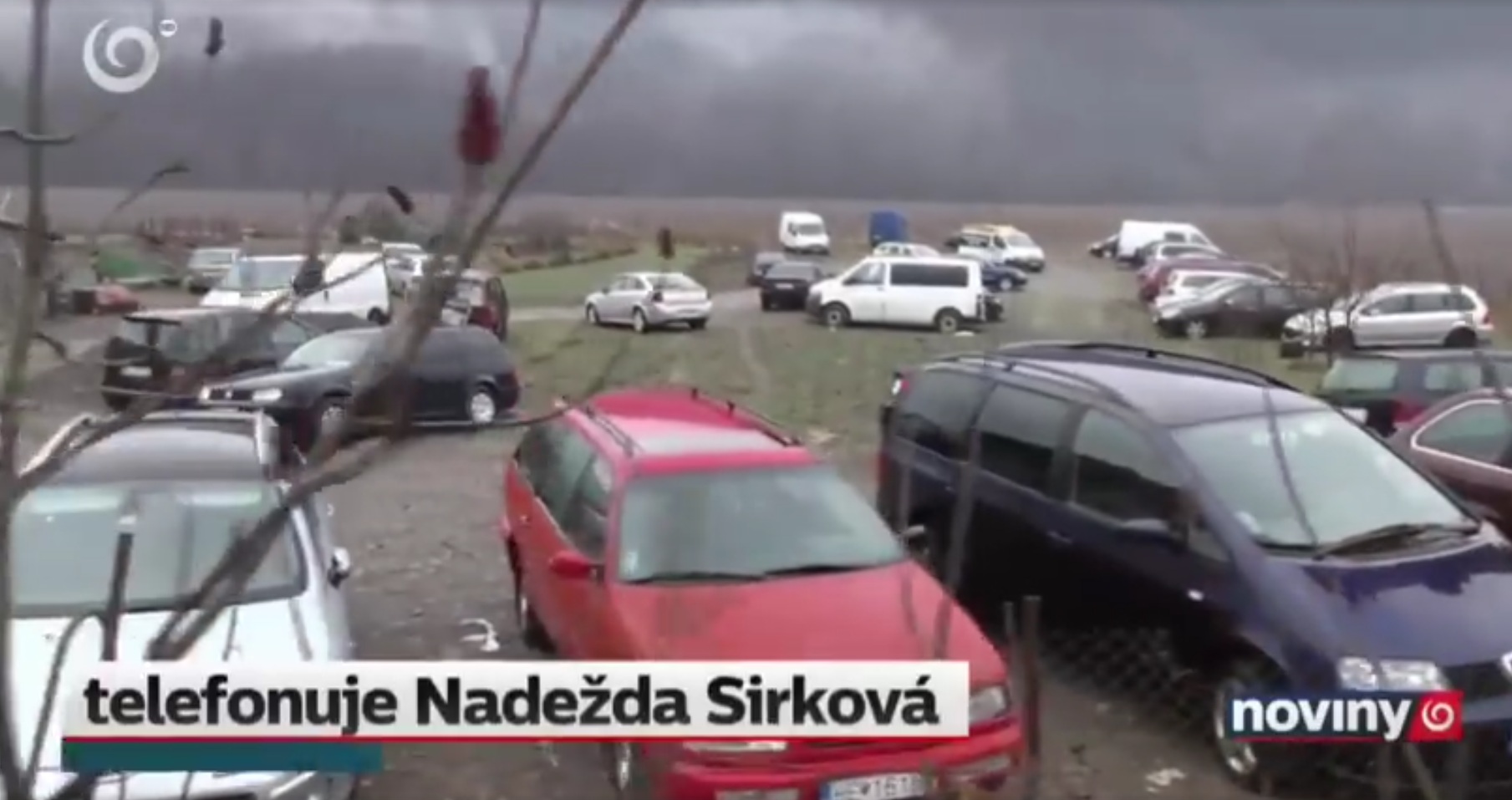 Словаков шокировало кладбище нерастаможенных авто из Украины