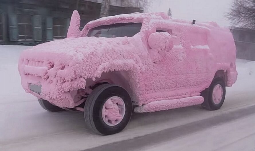 Блогер помыл авто в 40-градусный мороз и показал результат (видео)