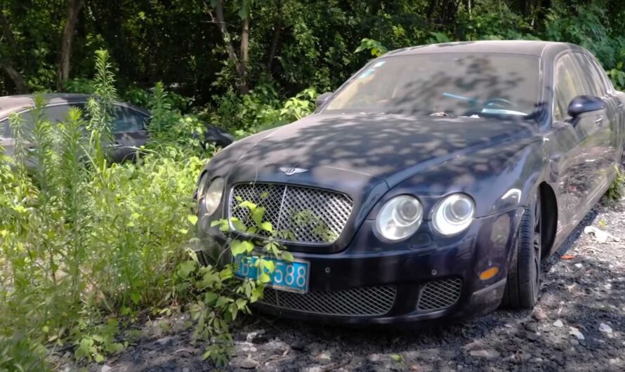 Кладбище заброшенных Aston Martin и Bentley показали на видео
