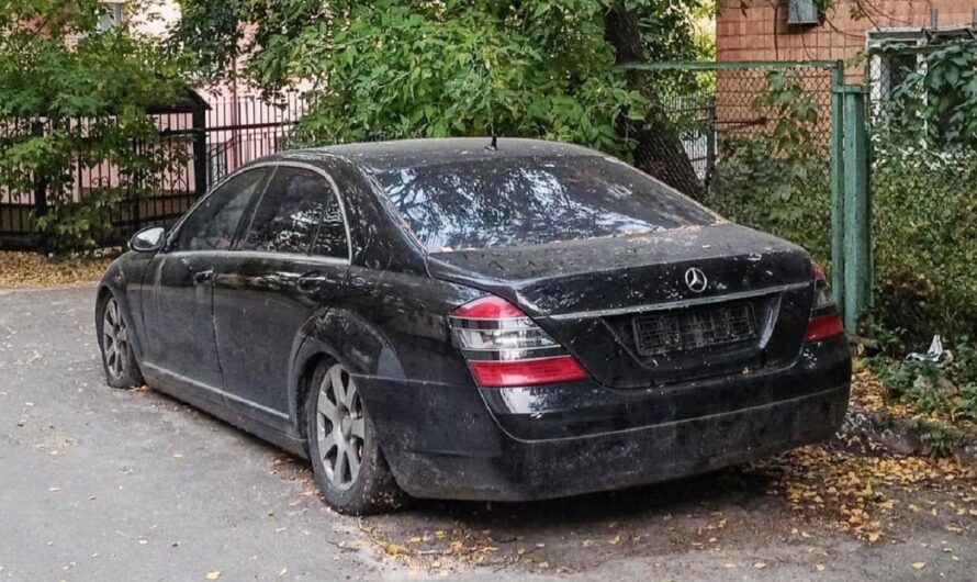 Заброшенный представительский Mercedes нашли в украинском дворике (фото)