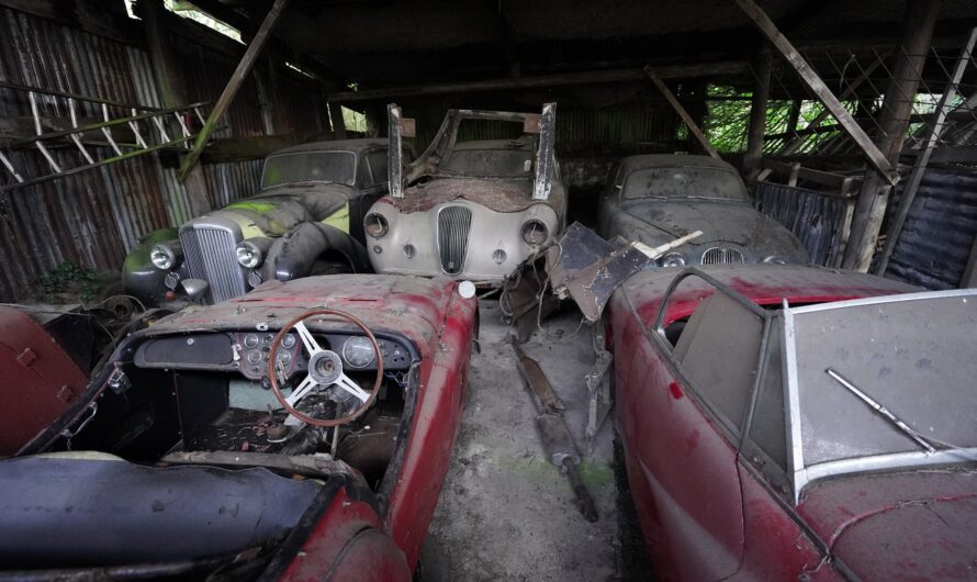 Найдена коллекция из 50 заброшенных ретро авто (видео)