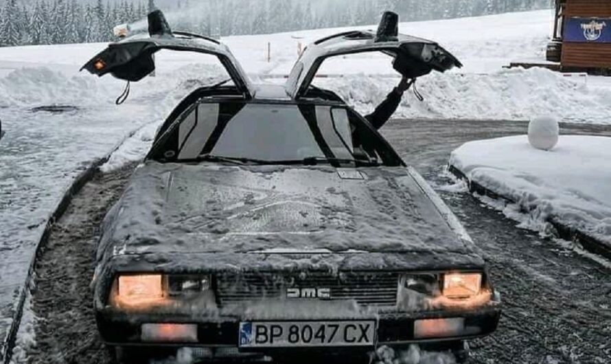 В Карпатах заметили крылатый спорткар DeLorean из фильма Назад в будущее