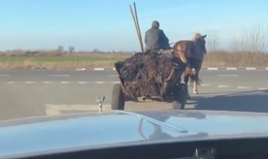 В Україні зафільмували коня з возом на фоні дорогезного Роллс-Ройс (відео)