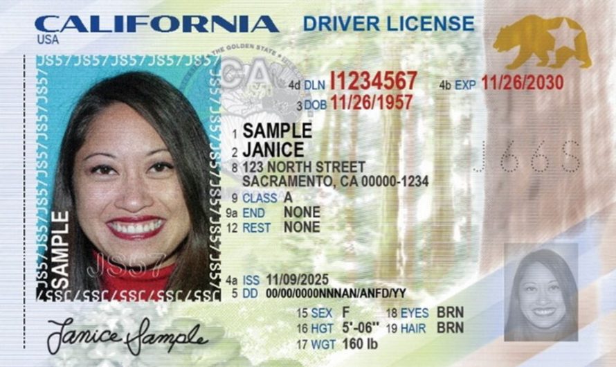 New California Driver’s Licenses Hide a Digital Secret Few Will Notice