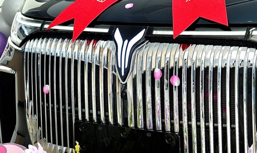 Наступного року можуть припинити існування десятки китайських виробників електромобілів