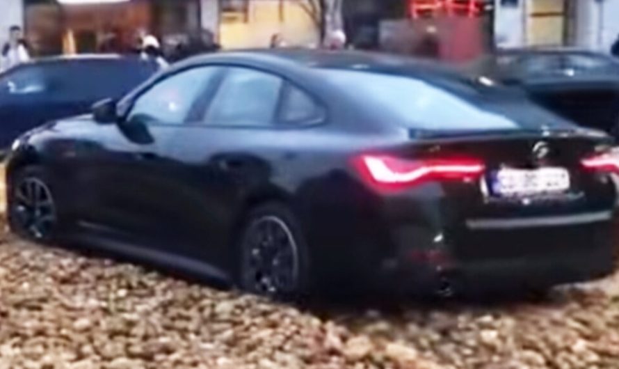 Водій BMW побачив картоплю та вирішив, що це виклик для нього