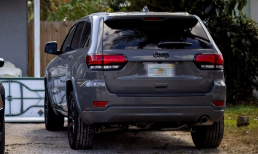 Мати з Флориди отримала штраф у 100 тисяч доларів за паркування на газоні, після чого штат припинив її діяльність