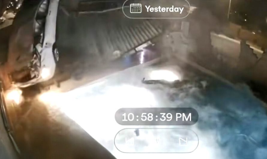 Автомобіль перелетів через його басейн, а водій одразу впав у воду після цього