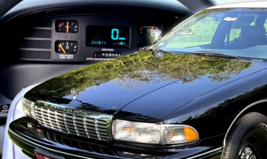 Цей 18-кілометровий патрульний автомобіль Caprice так і не встиг перевірити на дорозі жодного Mustang