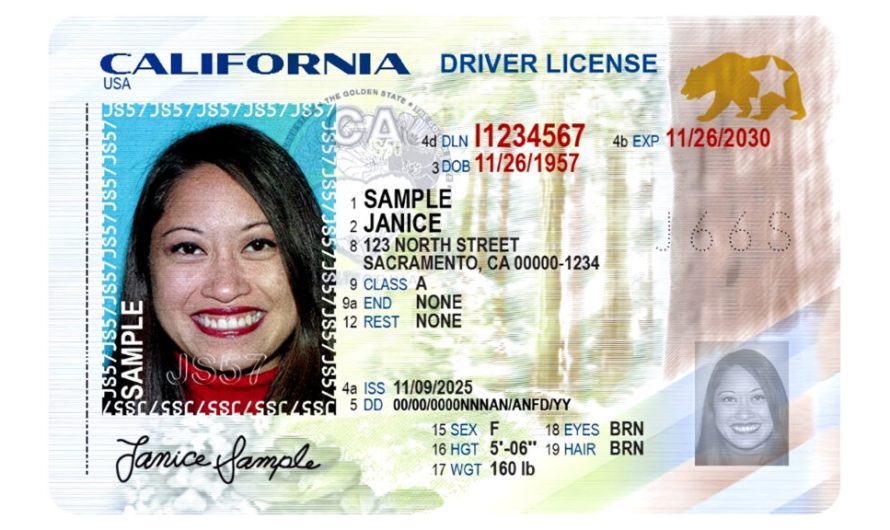 Сотні тисяч іммігрантів у Каліфорнії постраждали через помилку в кодуванні DMV у 2006 році