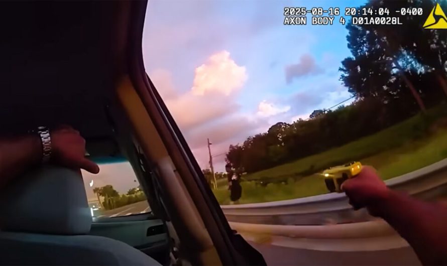 У Флориді поліцейська погоня завершилася тим, що офіцер стрибнув у машину Uber