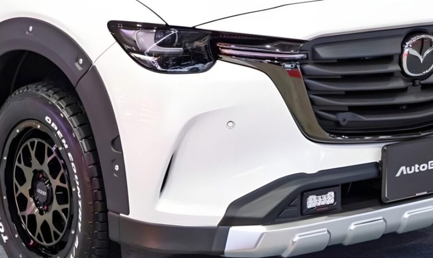 Автомобіль CX-60 лиш виглядав виставковим екземпляром, поки AutoExe не навчив його їсти бруд