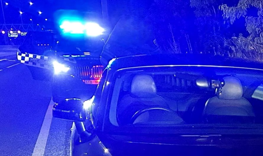 Водій Audi розігнався до 225 км/год, але це ще не найжахливіша частина історії