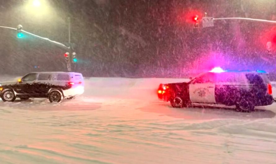 Поліція Каліфорнії висміює водіїв електрокарів через застряглу в снігу Rivian