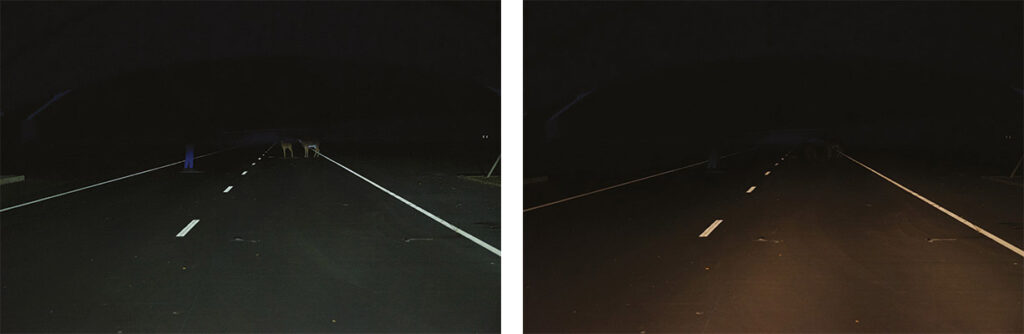  Too-Bright Headlight Debate Heats Up, But Data Points To A Deadlier Threat