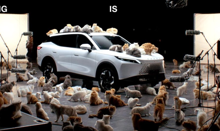 Китайська компанія задіює пухнастих котів для демонстрації своєї ідеї