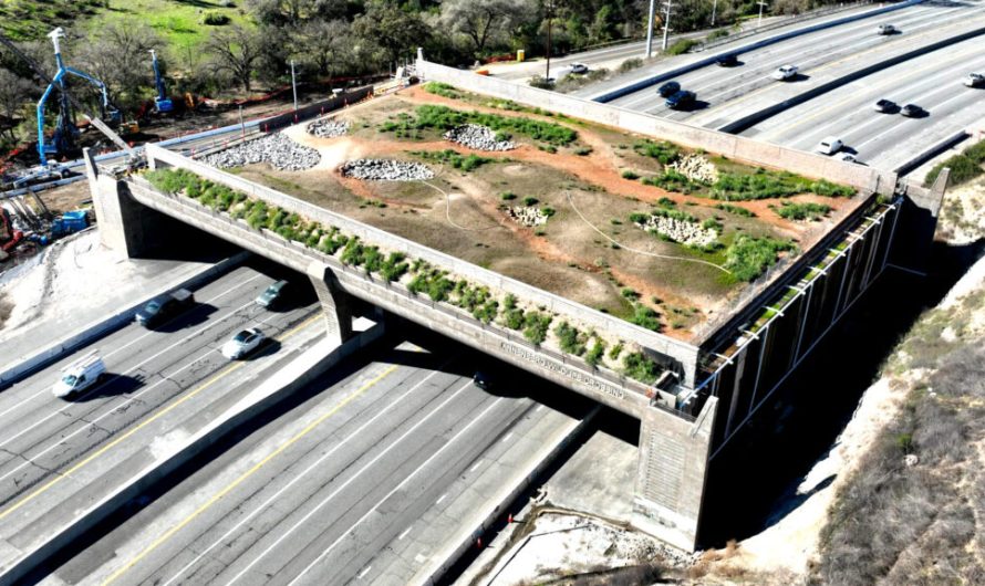 Каліфорнія зводить міст вартістю 19 мільйонів доларів, яким не можна буде ні проїхати, ні пройти