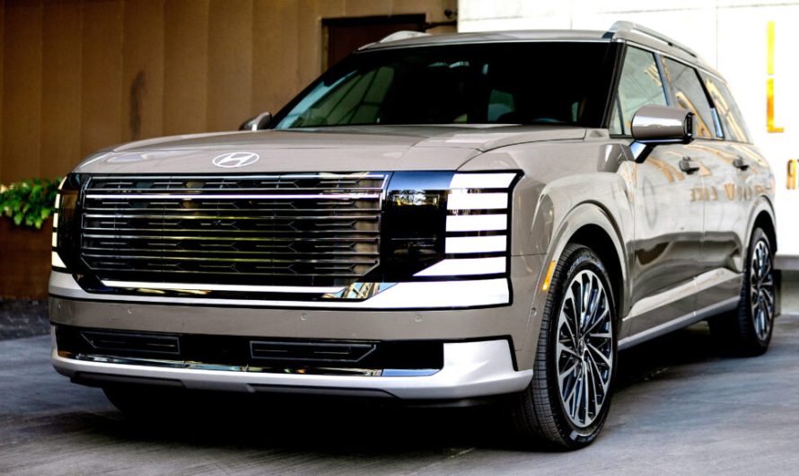 Вона попереджала Hyundai про небезпеку сидіння в Palisade, яке може вбити. Так і сталося