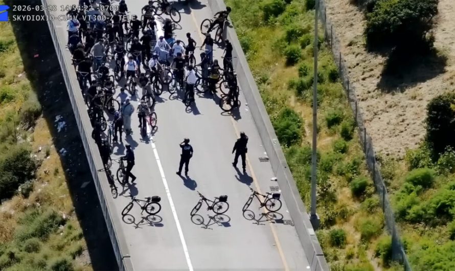 Поліція Сан-Франциско влаштувала пастку, в яку потрапили 85 порушників-велосипедистів
