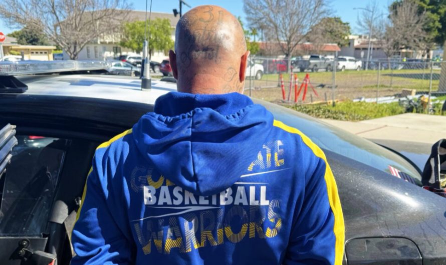 За чутками, він прибув на слухання щодо краденої машини за кермом іншого викраденого авто