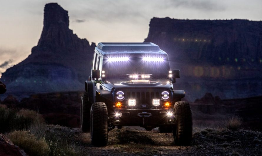 Суддя закриває тисячі миль маршрутів, захищаючи маленьку тварину від позашляховиків