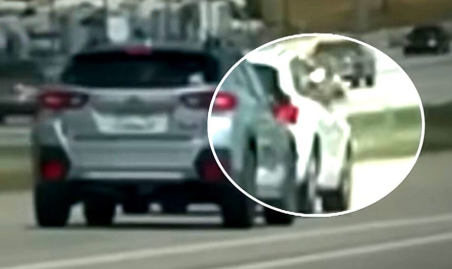 Агресивна поведінка поліцейського з Колорадо спричинила перекидання джипа підлітка