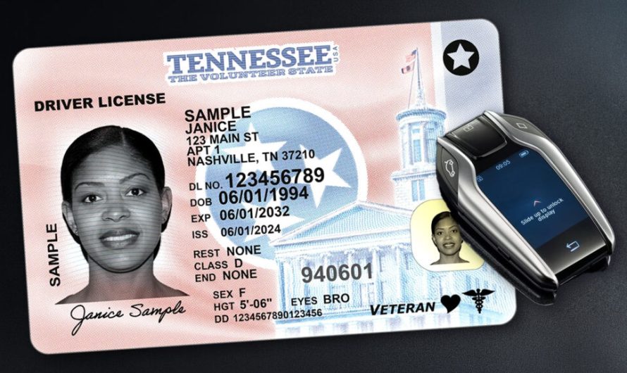 Теннессі пропонує запровадити екзамени на водійські права лише англійською, проте опоненти застерігають про можливі негативні наслідки