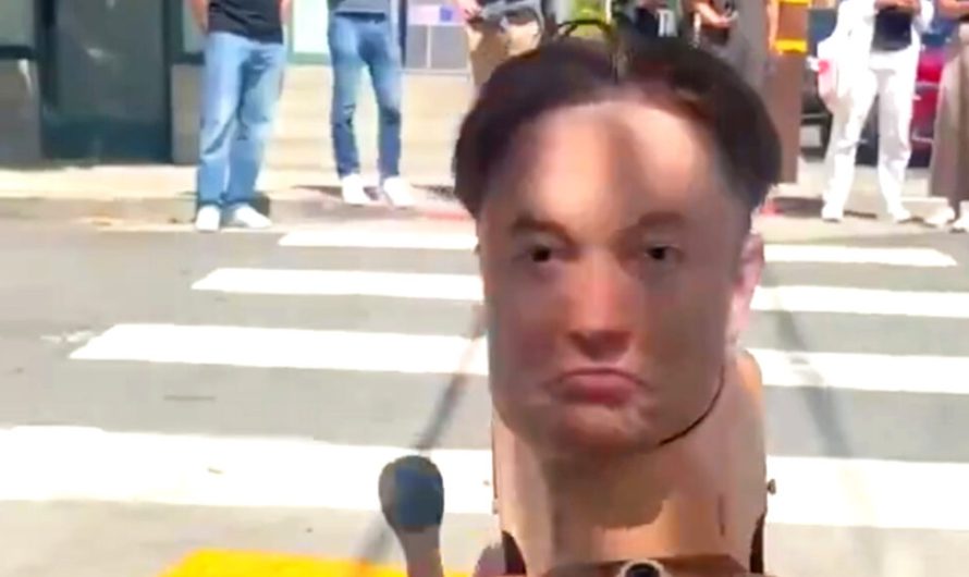 Робот-пес за три тисячі доларів тепер пересувається з головою Ілона Маска