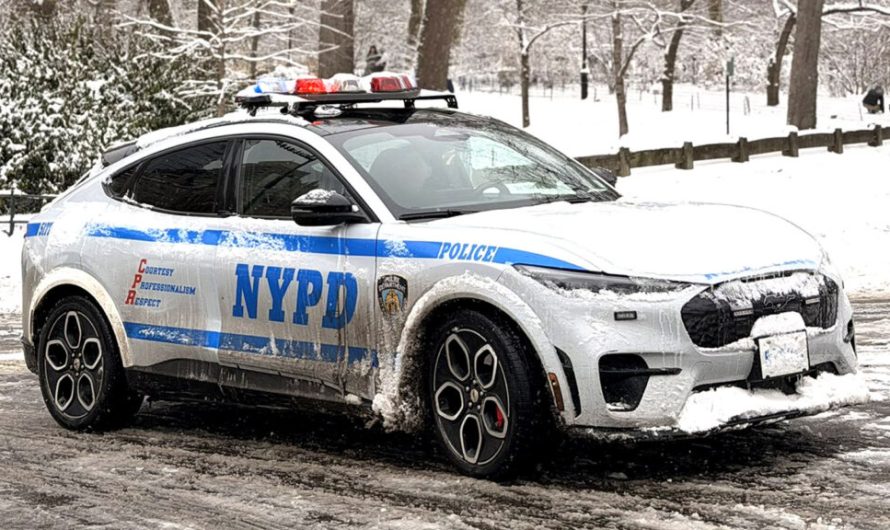 Поліцейський з Нью-Йорка заявляє, що його покарали «шосейною терапією» за штрафи, виписані не тим людям