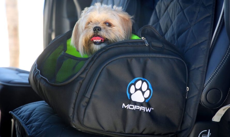 Stellantis представляє Mopaw — сервіс Mopar для домашніх улюбленців