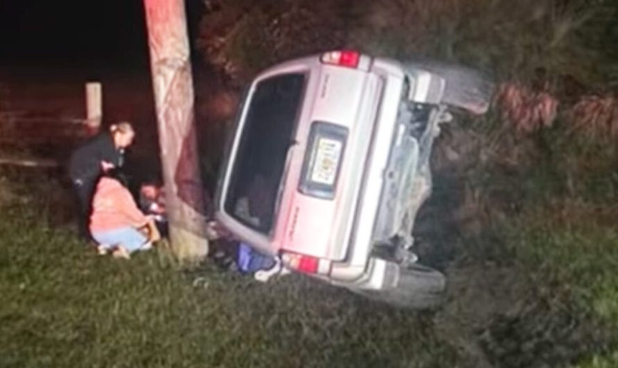 Дев’ятифутовий алігатор, сталевий стовп і Toyota 4Runner, який витримав обидва удари