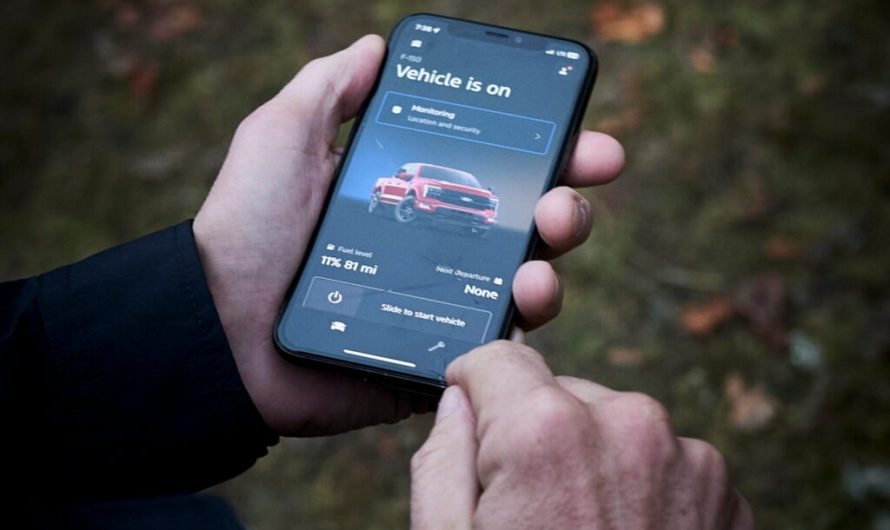 Компанія Ford залучила ведмедя вагою 360 кілограмів для випробування свого нового пікапа F-150