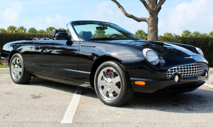 Цей Ford Thunderbird із пробігом лише 15 миль не експлуатується з 2002 року, а його теперішня ціна — вдвічі нижча, ніж була на момент випуску