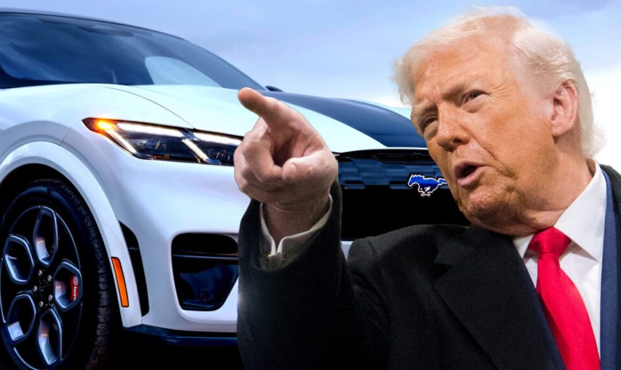 За словами Трампа, водії електричних машин уражені недугою