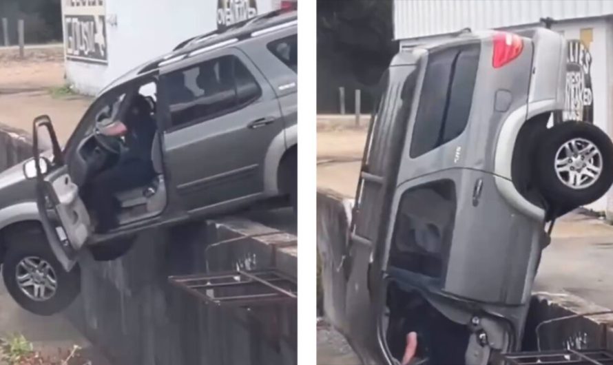 Двоє перехожих спробували врятувати водія, чия автівка застрягла на секвої, але впустили його зі скелі